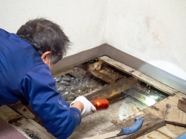 Water Damage Restoration in Florence, AL