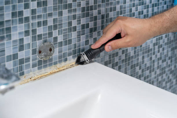 Mold Removal and Inspection in Florence, AL